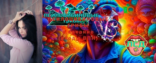 ECSTASY Алексеевка