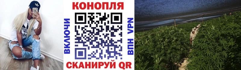 Марихуана индика Анадырь